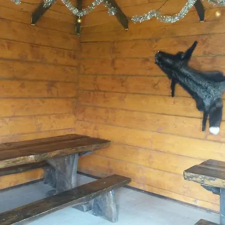 Guest house U Tetyany *