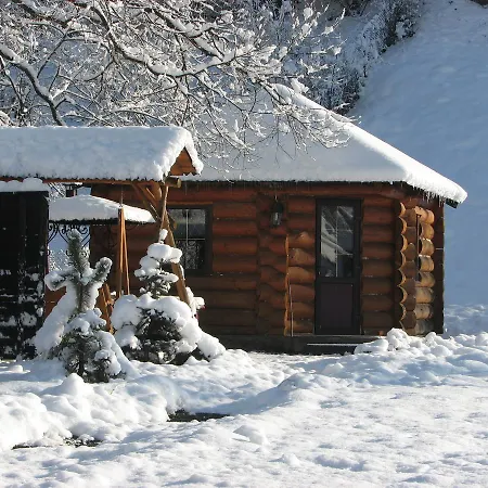 Hit House Guest house Slavske